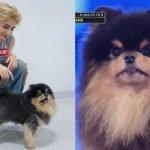 Yeontan, V
