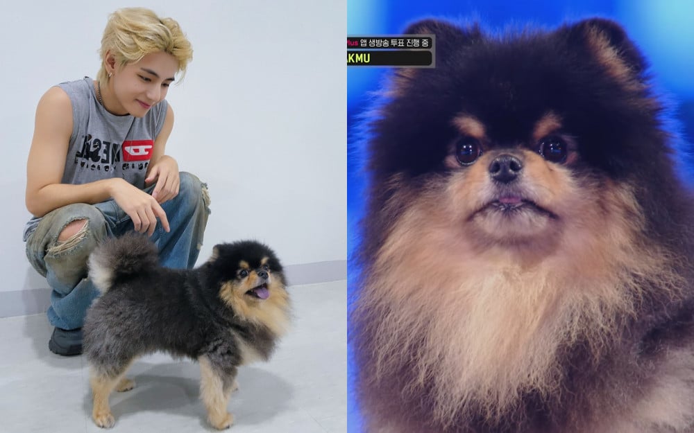 Yeontan, V