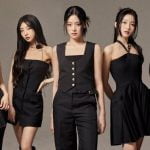 blockberry loossemble