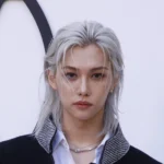 félix stray kids poids