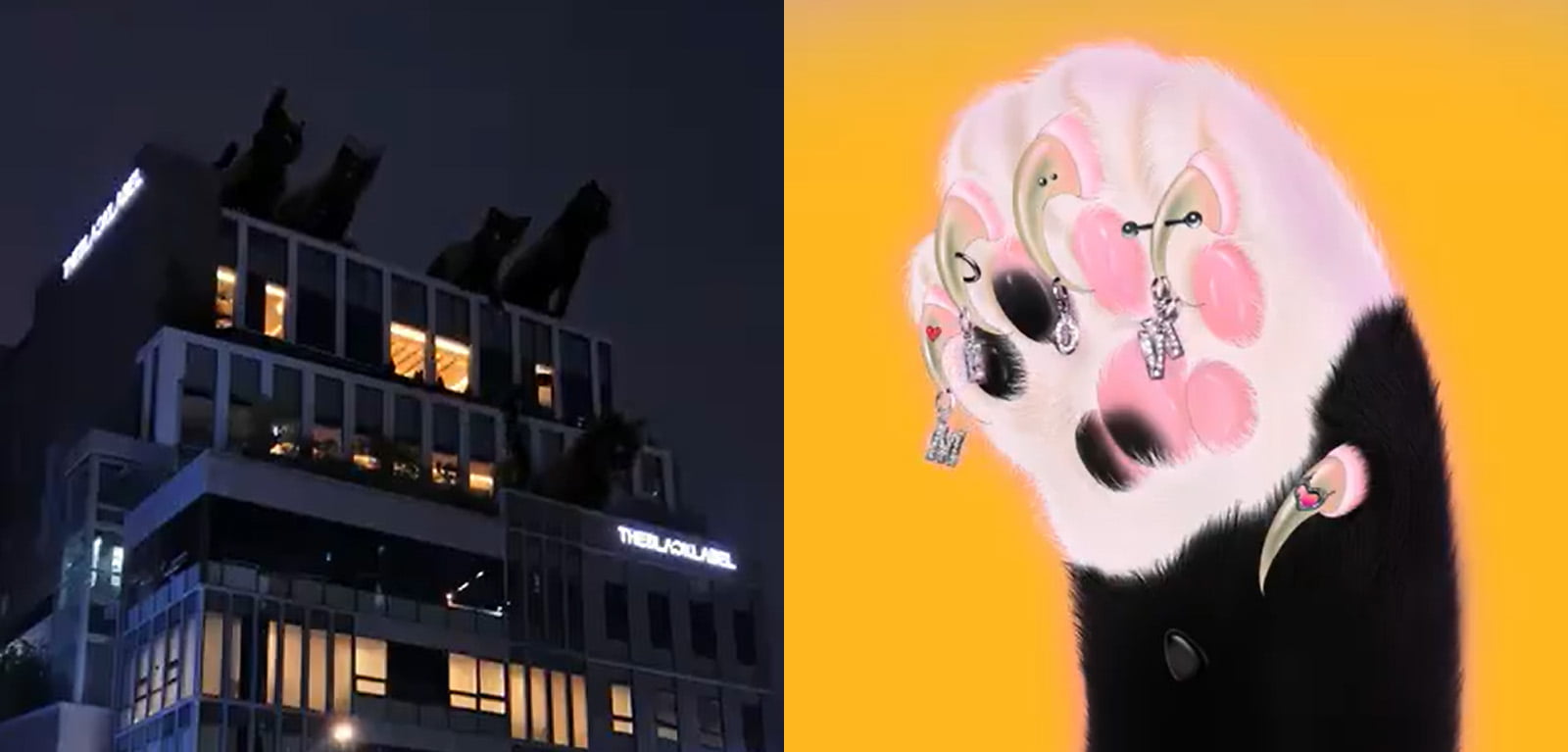 the-black-label-meovv