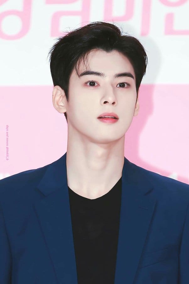 cha eun woo