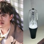 EXO D.O's official solo light stick