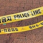 stabbing south korea