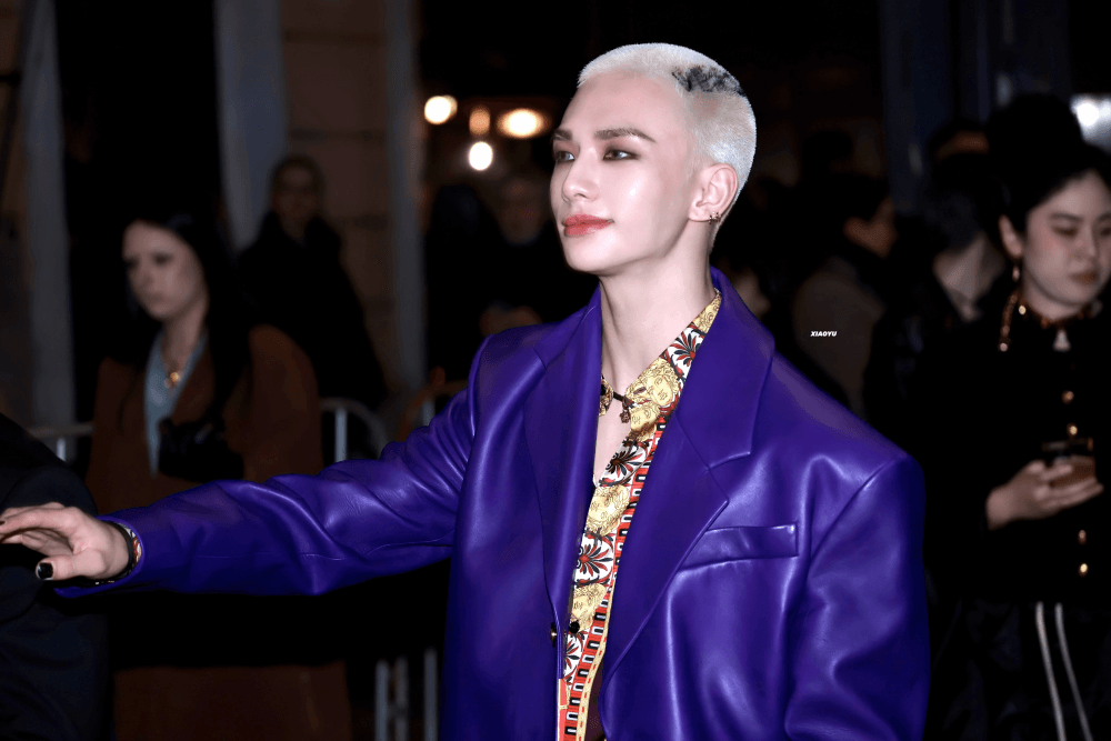 Hyunjin (Stray Kids) versace