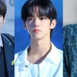 Top 5 male idols gay