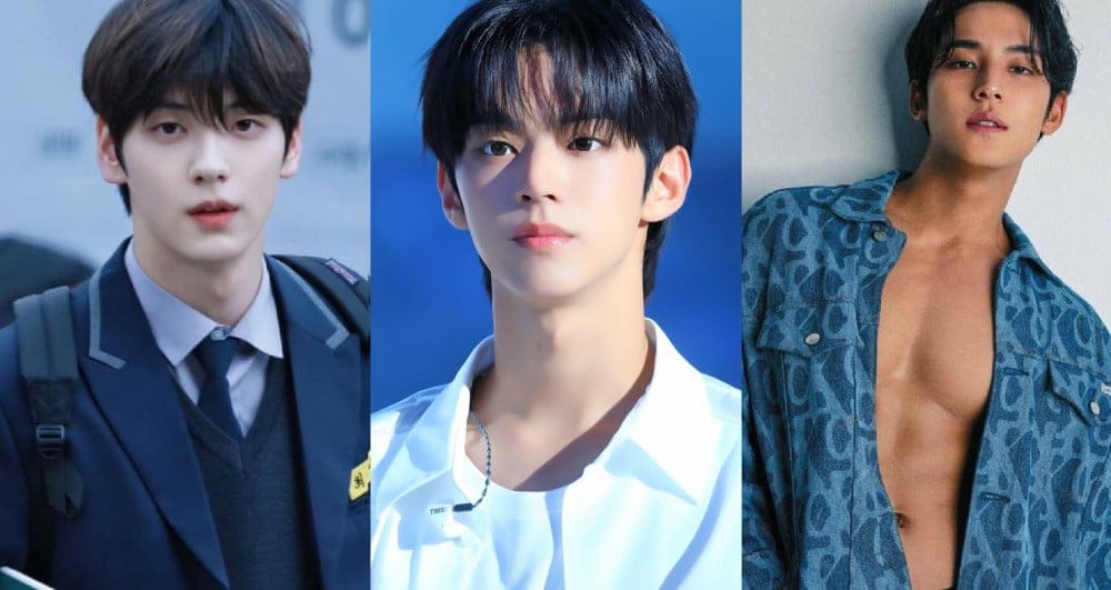 Top 5 male idols gay