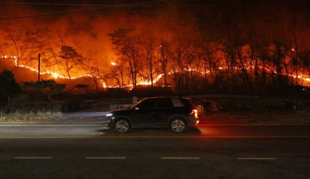 Yeongnam wildfire