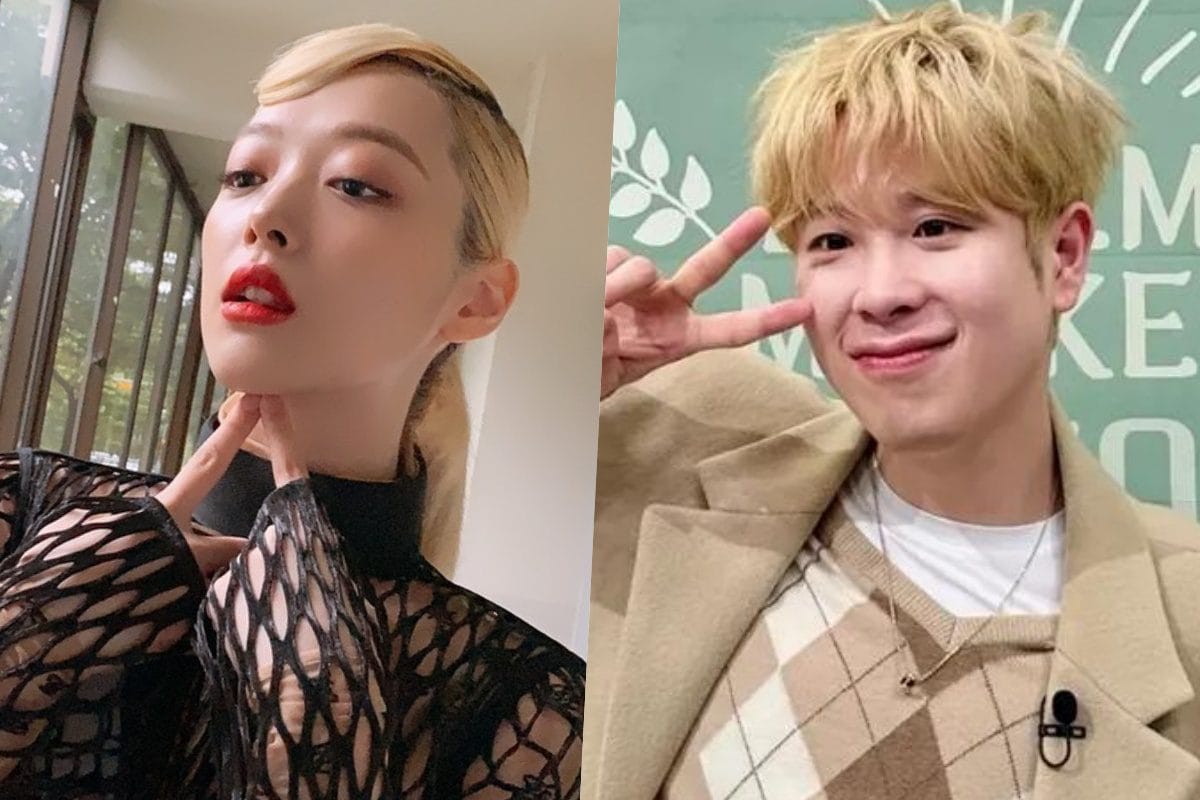 Sulli's older brother's claims that P.O. dated Sulli